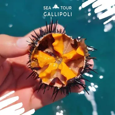 Sea Tour Gallipoli escursione barca Salento 28