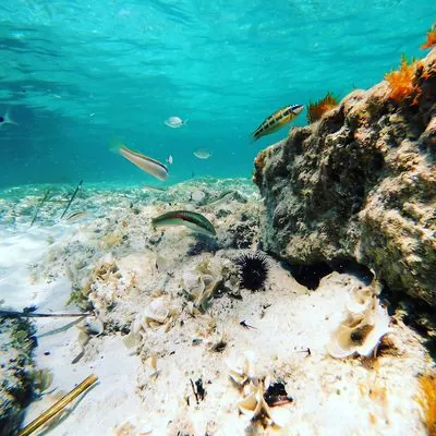 Sea Tour Gallipoli escursione barca Salento 53